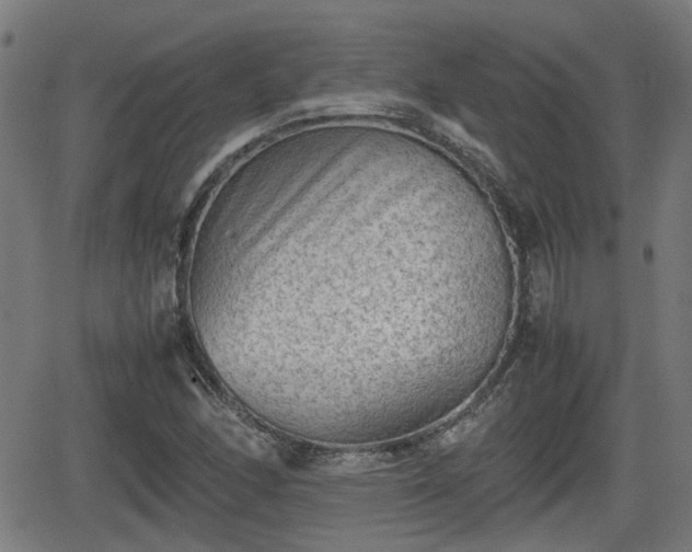 X0000062131166200512161144