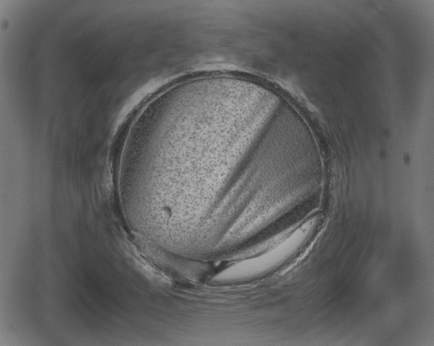 X0000062131167200512161144