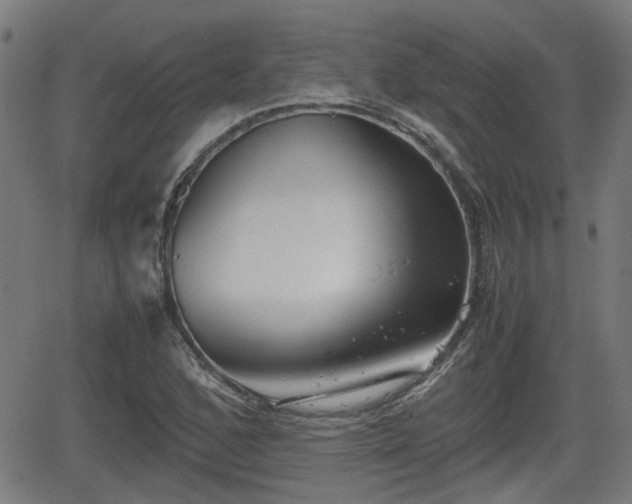 X0000062131168200512161144