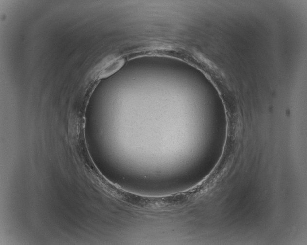 X0000062131169200512161144