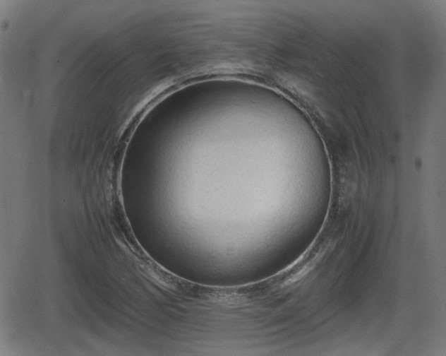 X0000062131170200512161144