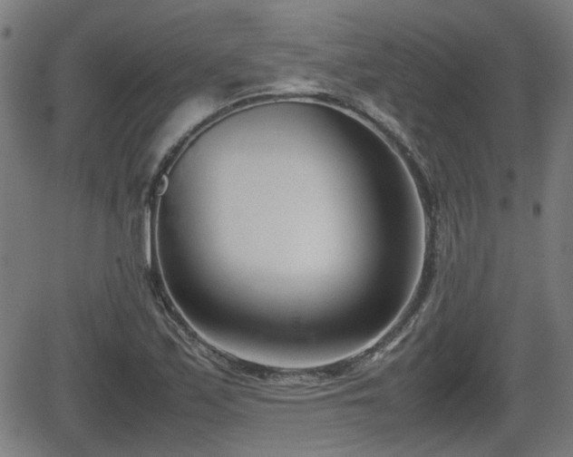 X0000062131171200512161144