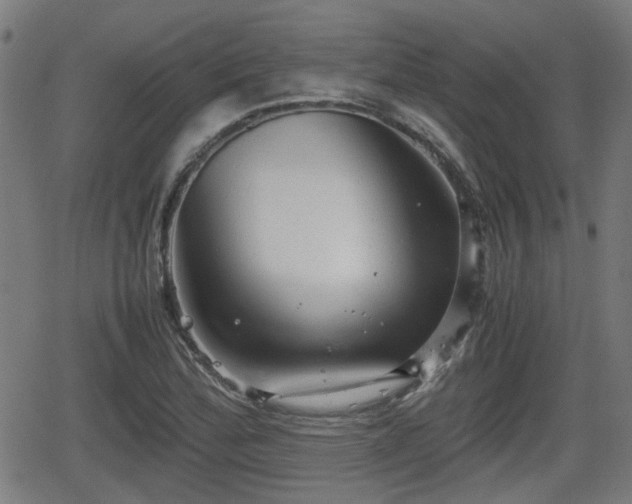 X0000062131172200512161144