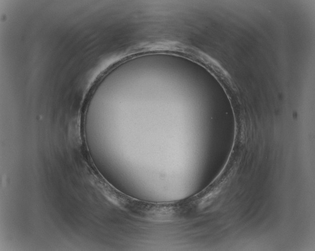 X0000062131174200512161144