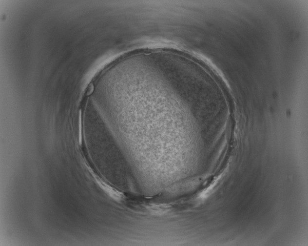 X0000062131175200512161144