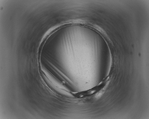 X0000062131176200512161144