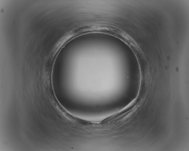 X0000062131177200512161144