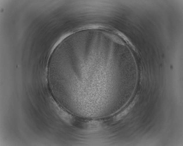 X0000062131178200512161144