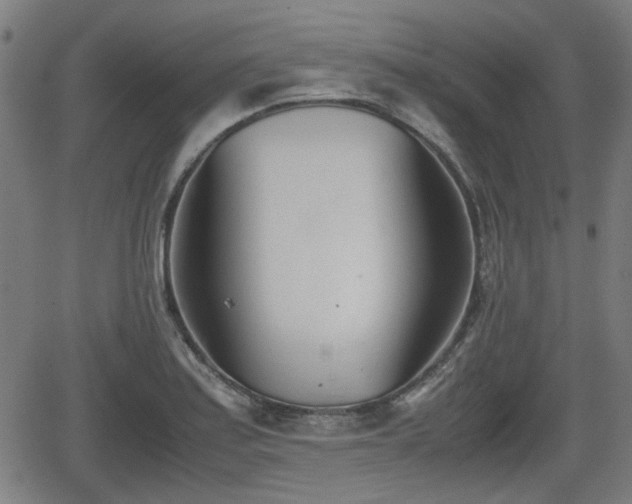 X0000062131179200512161144