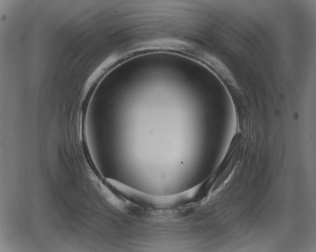 X0000062131180200512161144