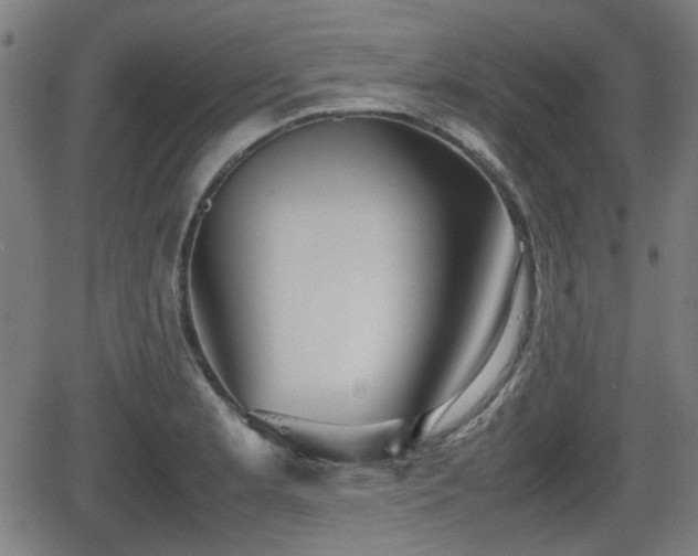 X0000062131181200512161144