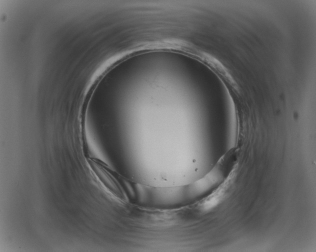 X0000062131184200512161144