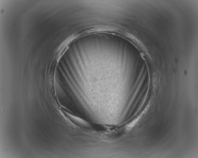 X0000062131185200512161144