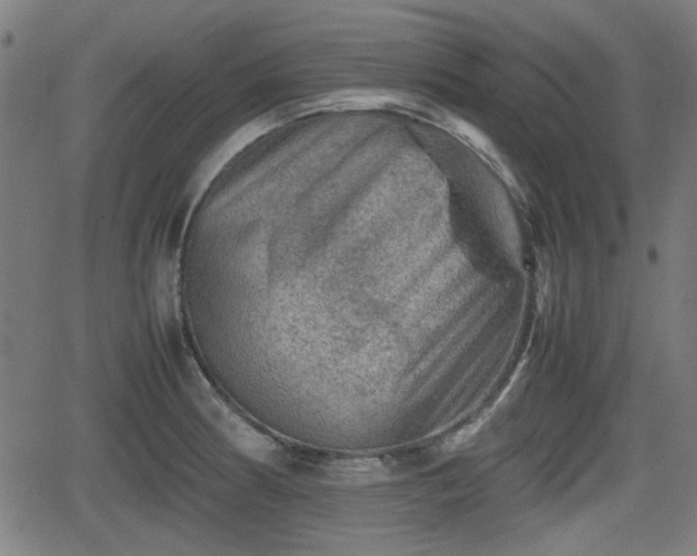 X0000062131186200512161144