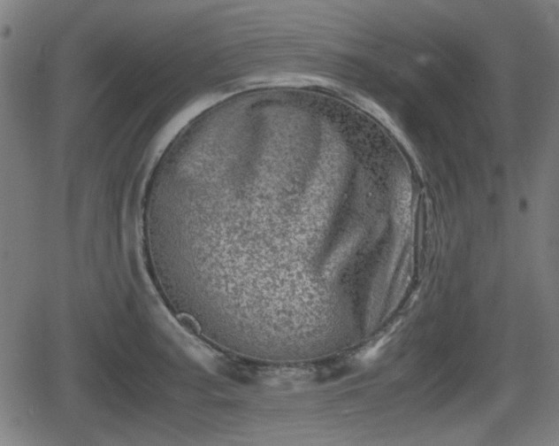 X0000062131187200512161144