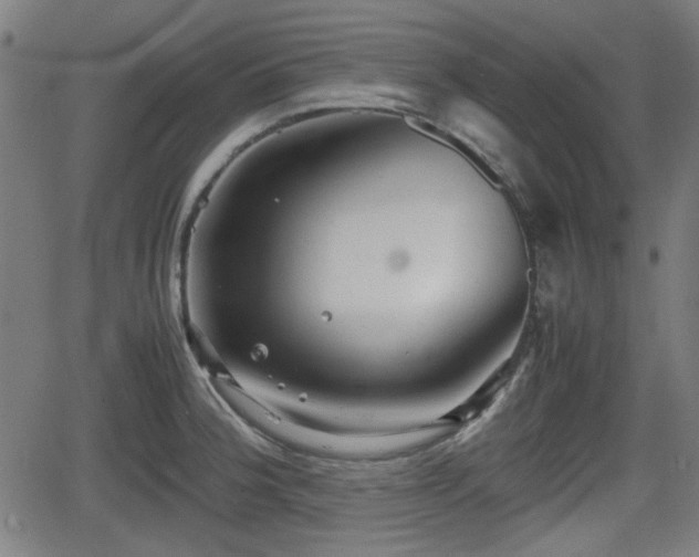 X0000062131188200512161144