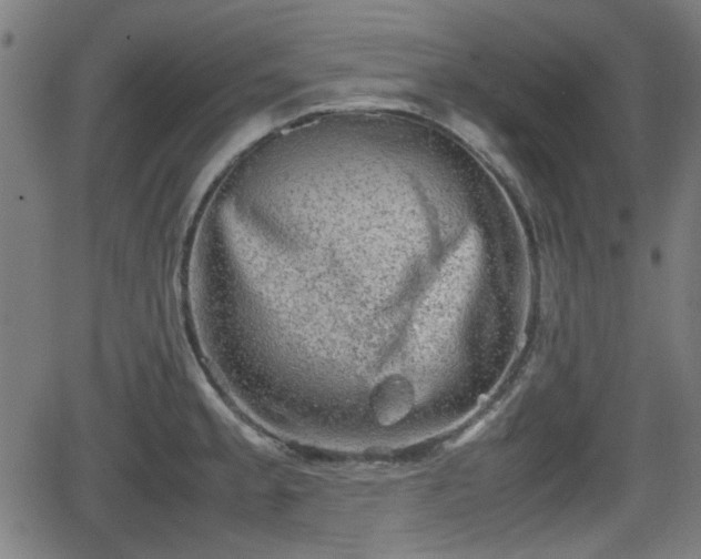 X0000062131189200512161144