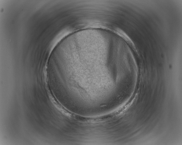 X0000062131190200512161144