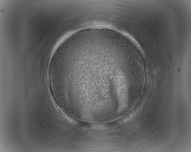 X0000062131191200512161144