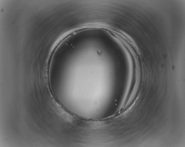 X0000062131192200512161144