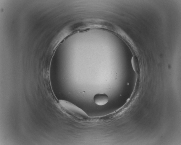 X0000062131193200512161144