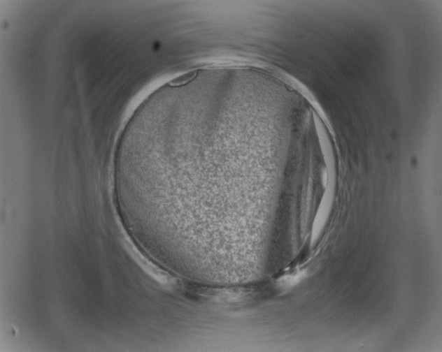 X0000062131195200512161144