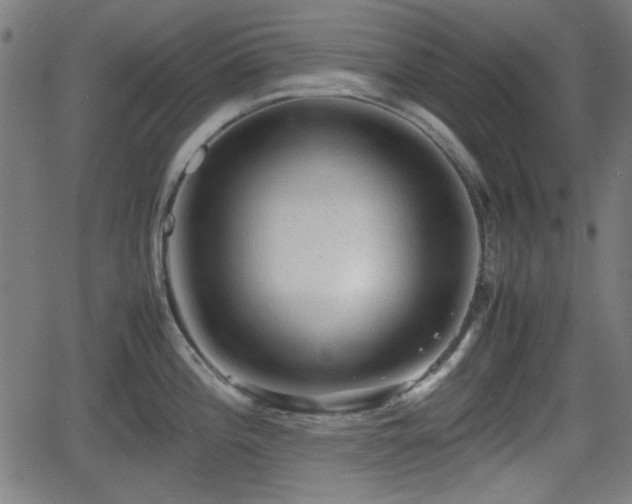 X0000062131196200512161144