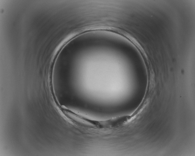 X0000062131197200512161144