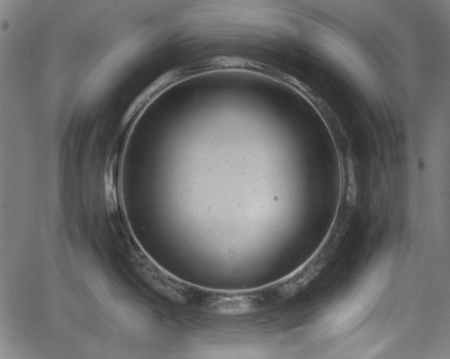 X0000062131198200512161144