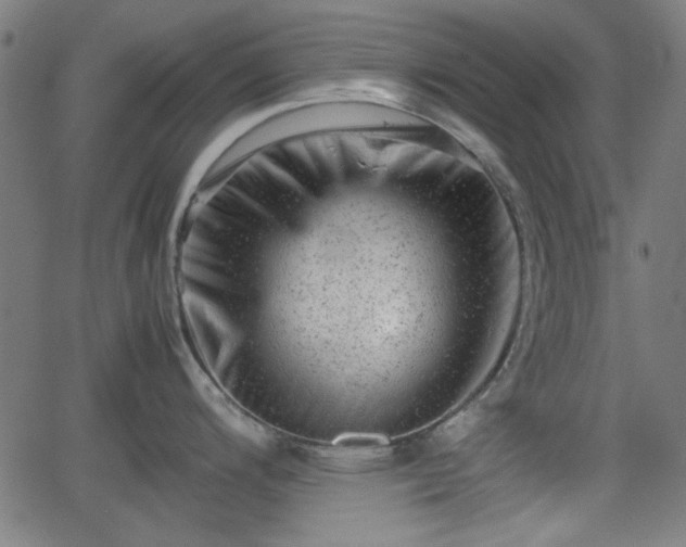 X0000062131200200512161144