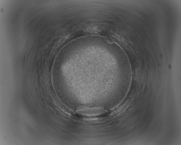 X0000062131201200512161143