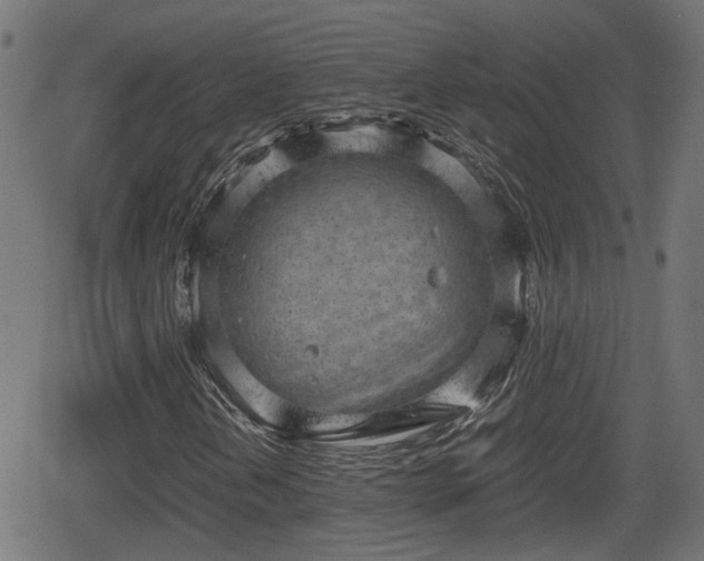 X0000062131202200512161143