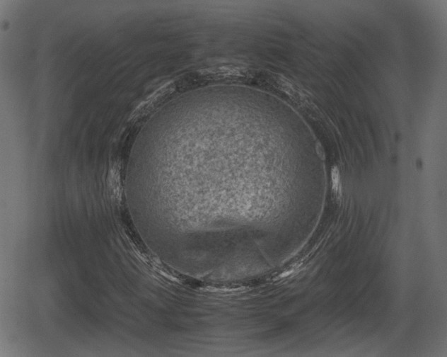 X0000062131203200512161143