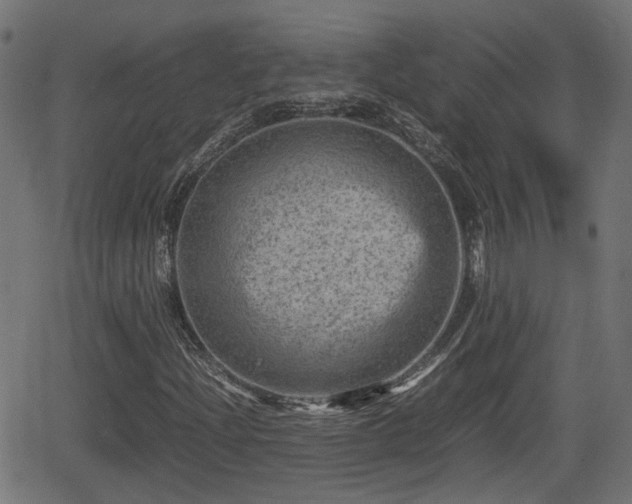 X0000062131204200512161143