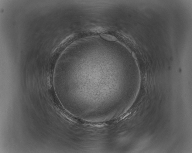 X0000062131205200512161143