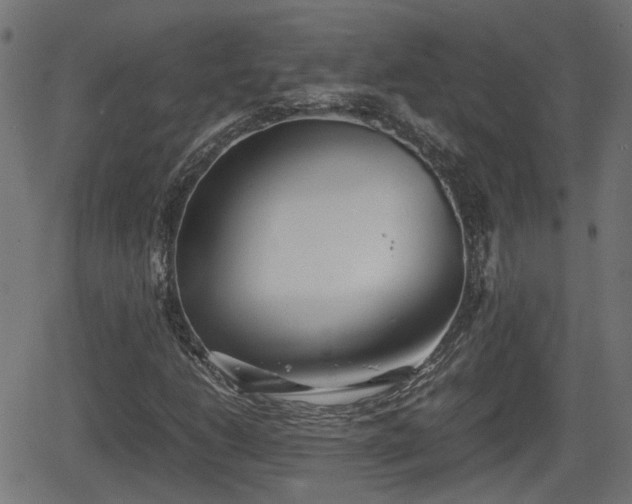 X0000062131206200512161143