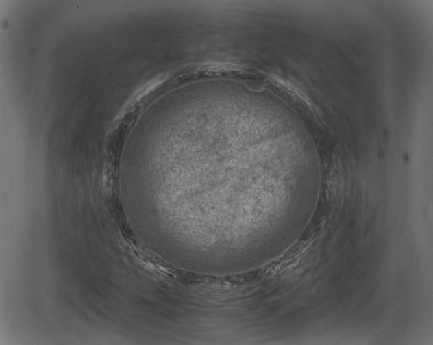 X0000062131207200512161143