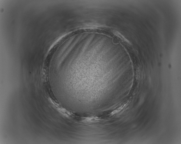 X0000062131208200512161143