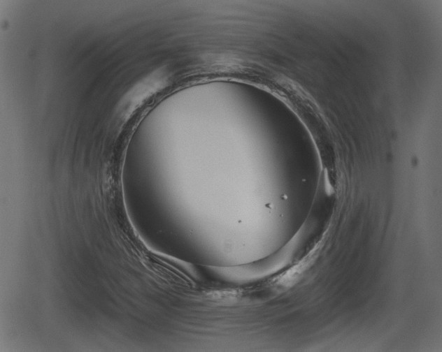 X0000062131210200512161143