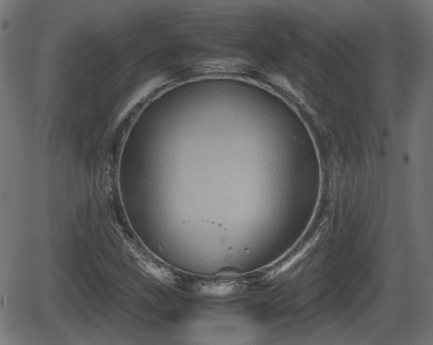 X0000062131211200512161143