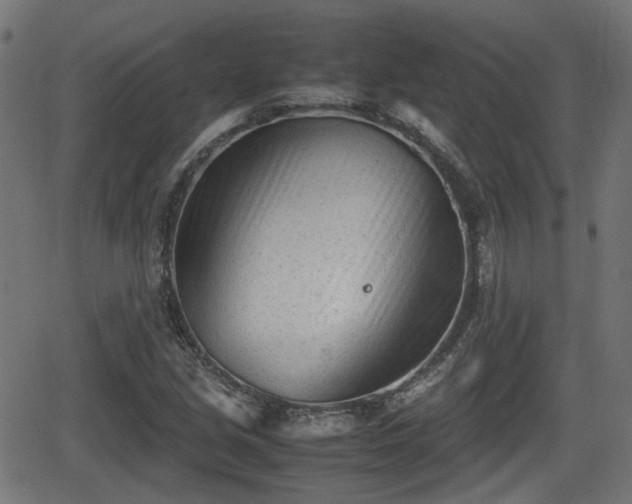 X0000062131213200512161143