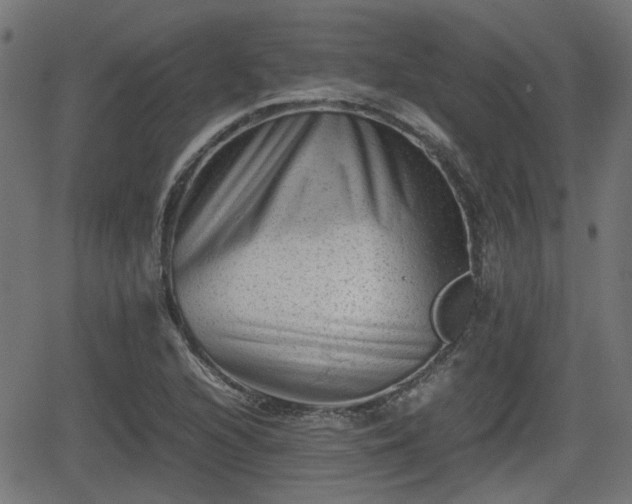 X0000062131216200512161143