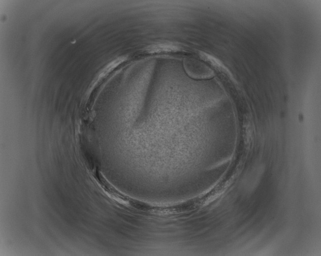 X0000062131217200512161143