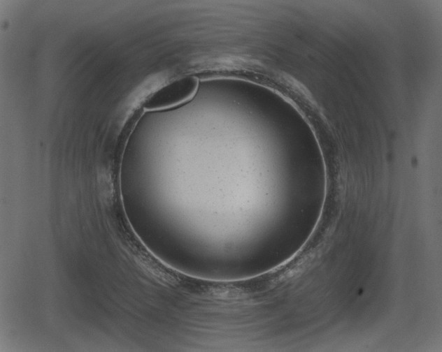 X0000062131218200512161143