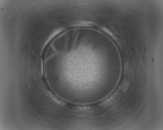 X0000062131219200512161143