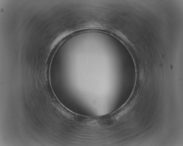 X0000062131222200512161143