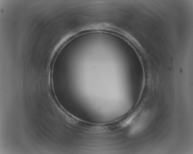 X0000062131224200512161143