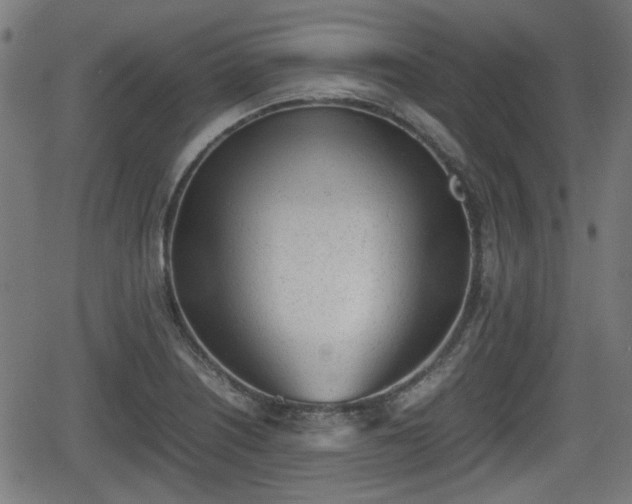 X0000062131226200512161143