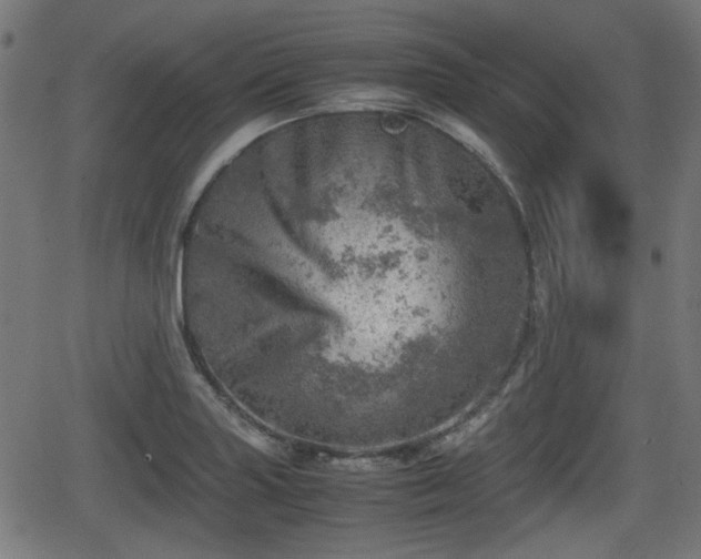 X0000062131227200512161143