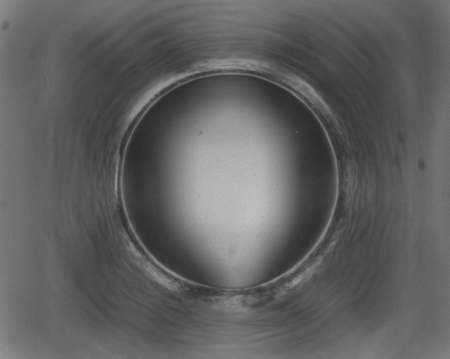 X0000062131228200512161143